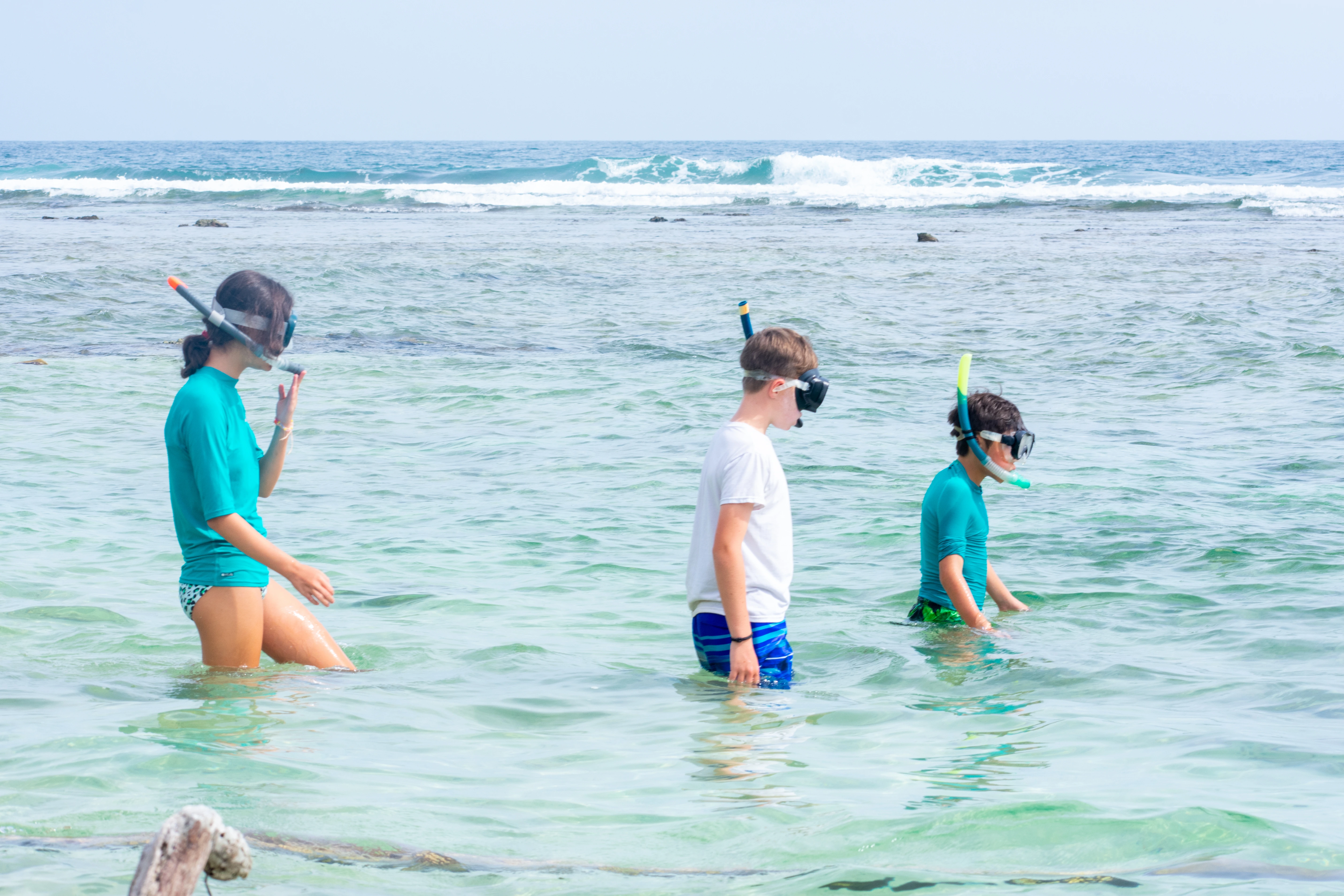 Snorkeling.webp